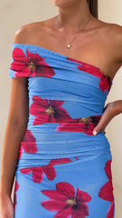 Eisa One Shoulder Maxi Dress - Blue / Red Floral